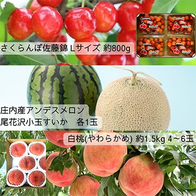 2023年6月発送開始『定期便』【令和5年度発送】山形産直人気フルーツ定期便　全5回