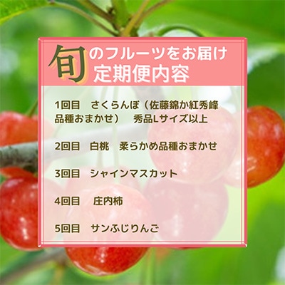 2023年7月発送開始『定期便』【令和5年度発送】　山形“王道”フルーツ定期便　全5回