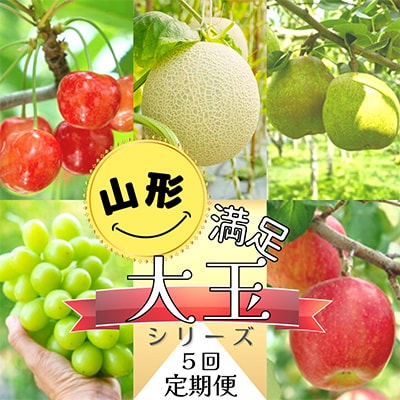 2023年7月発送開始『定期便』【令和5年度発送】満足の「大玉」シリーズ定期便　全5回