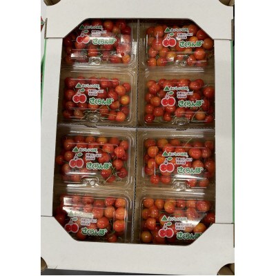 【2025年発送先行受付】佐藤錦200g×8 Lサイズ以上 バラ秀品