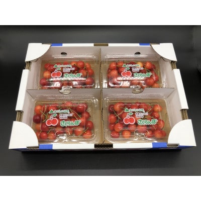 さくらんぼ Lサイズ以上 秀品 佐藤錦 200g×4P(計800g)