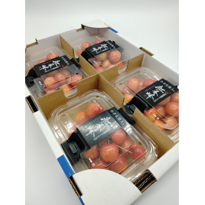 さくらんぼ Lサイズ以上 秀品 紅秀峰 200g×4P(計800g)