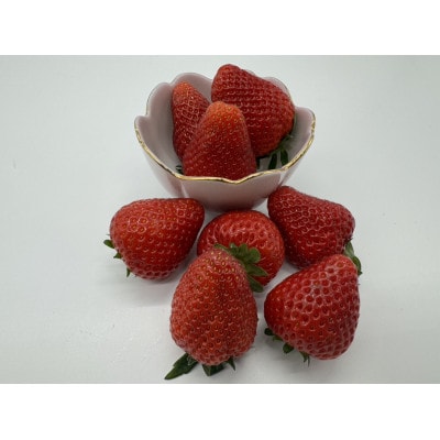 いちご　大粒おとめ心　250g×4P