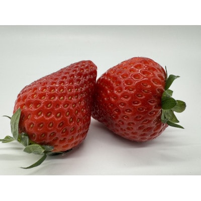 いちご　大粒おとめ心　250g×2P
