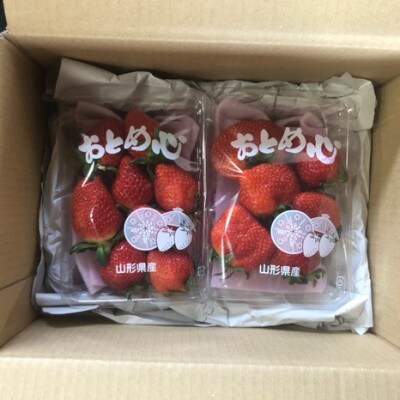 いちご　大粒おとめ心　250g×2P