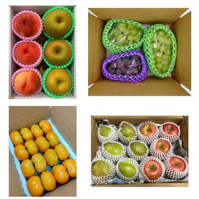 【発送月固定定期便】やまがたオータムフルーツ定期便全4回