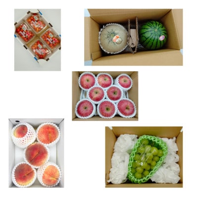 【発送月固定定期便】イチオシ山形フルーツ定期便全5回