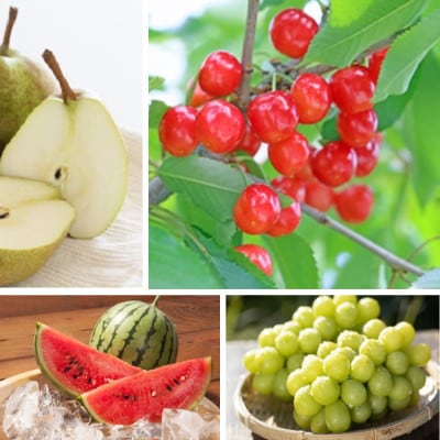 【発送月固定定期便】やまがた果物定期便 特選!全4回