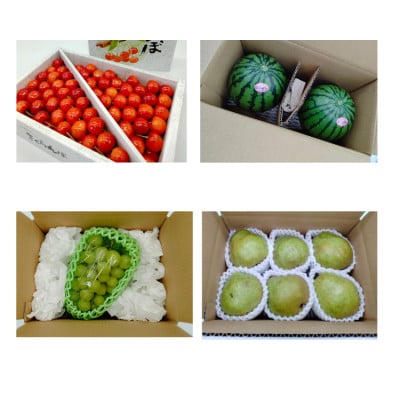 【発送月固定定期便】やまがた果物定期便 特選!全4回