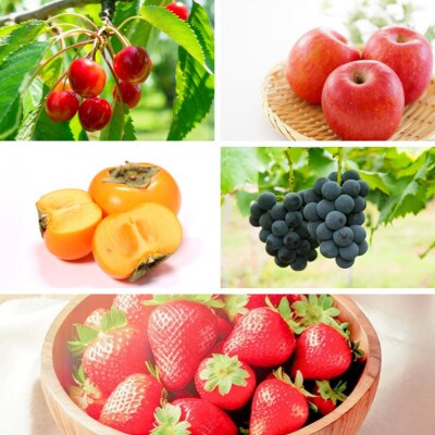 【発送月固定定期便】山形満喫定期便全5回