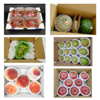 【発送月固定定期便】豪華山形フルーツ定期便全6回