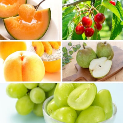 【発送月固定定期便】やまがたオススメフルーツ定期便全5回