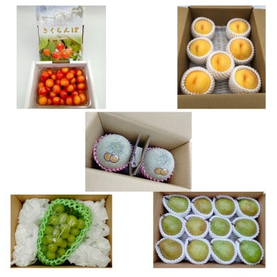 【発送月固定定期便】やまがたオススメフルーツ定期便全5回