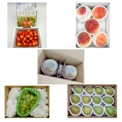 【発送月固定定期便】山形人気のフルーツ定期便全5回