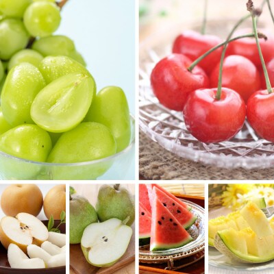 【発送月固定定期便】絢爛山形フルーツ定期便全6回