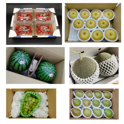 【発送月固定定期便】絢爛山形フルーツ定期便全6回