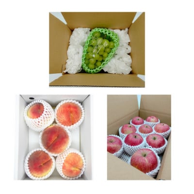 【発送月固定定期便】やまがたこだわりのフルーツ定期便全3回