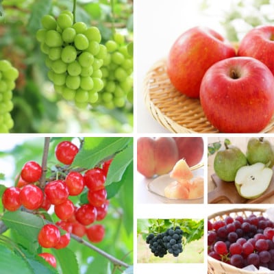 【発送月固定定期便】七色の山形フルーツ定期便全7回