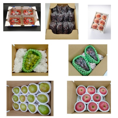 【発送月固定定期便】七色の山形フルーツ定期便全7回