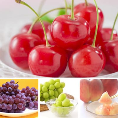 【発送月固定定期便】やまがた盛夏フルーツ定期便全4回