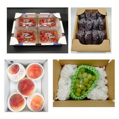 【発送月固定定期便】やまがた盛夏フルーツ定期便全4回