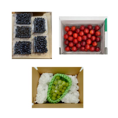 【発送月固定定期便】やまがた夏霞フルーツ定期便全3回