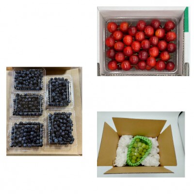 【発送月固定定期便】やまがた晴天のフルーツ定期便全3回