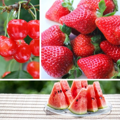 【発送月固定定期便】春から夏までのやまがたフルーツ定期便全3回