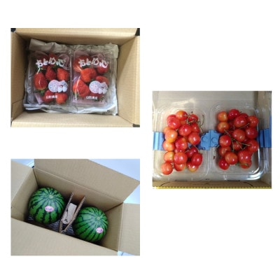 【発送月固定定期便】春から夏までのやまがたフルーツ定期便全3回