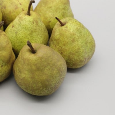 【発送月固定定期便】ご家庭用やまがたラ・フランス定期便全2回