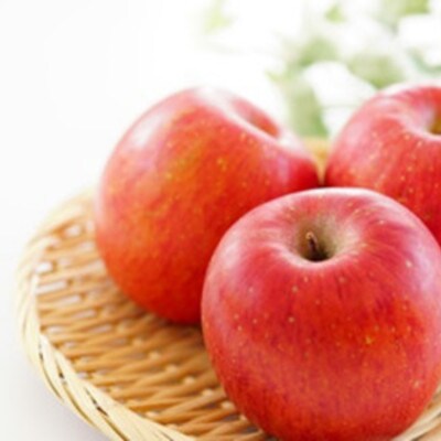 【発送月固定定期便】ご家庭用やまがたりんご定期便全2回