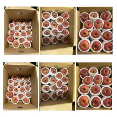 【発送月固定定期便】ご家庭用やまがたりんご定期便全2回