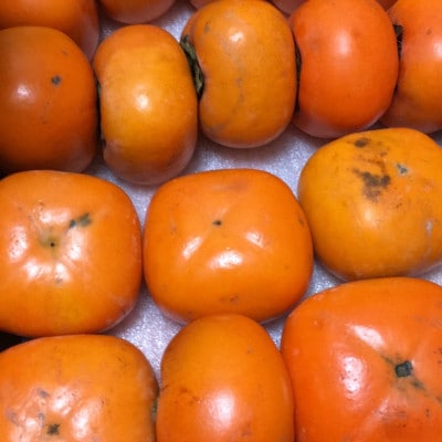 ご家庭用　庄内柿　5kg(26～32玉)