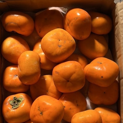 ご家庭用　庄内柿　5kg(26～32玉)