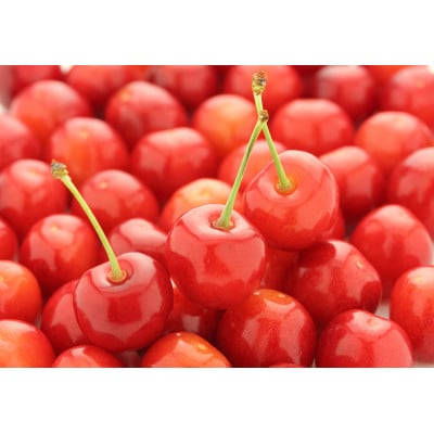 【2026年発送予定 先行受付】山形県産さくらんぼ　紅さやか1kg　Lサイズ バラ　秀品