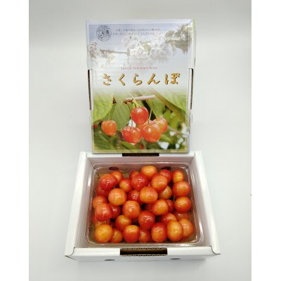 佐藤錦Lサイズ秀品バラ詰め500g