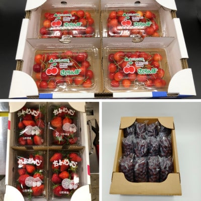 【発送月固定定期便】みちのくフルーツ定期便全3回