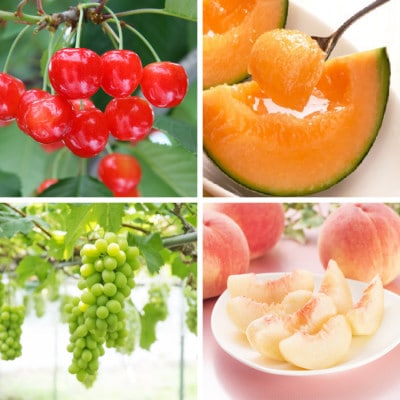 【発送月固定定期便】山形大人気フルーツ定期便全4回