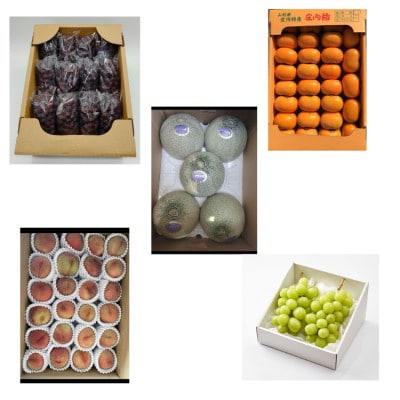 【発送月固定定期便】山形フルーツ満喫定期便全5回