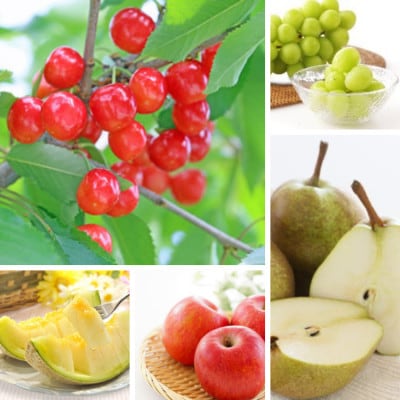 【発送月固定定期便】山形の果実定期便イチオシ全5回