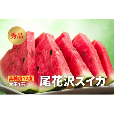 《2025年先行受付》【高糖度約12度】尾花沢スイカ　秀品　大玉1玉