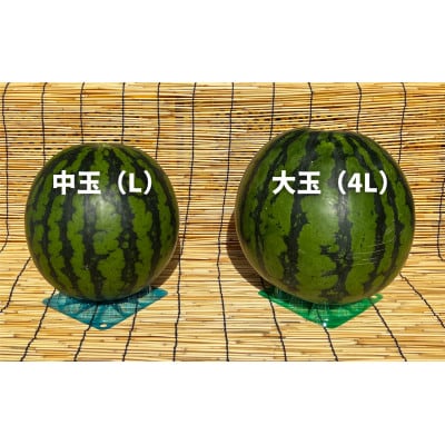 《2025年先行受付》【高糖度約12度】尾花沢スイカ　秀品　大玉1玉
