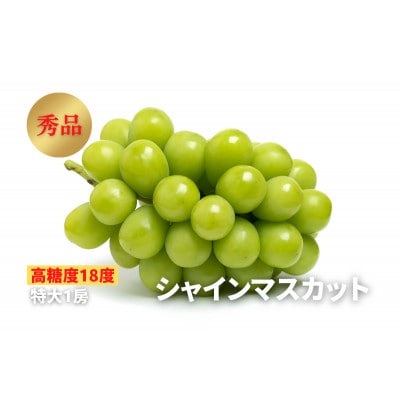 《2025年先行受付》ぶどう「シャインマスカット」　秀品　1房(700g以上)