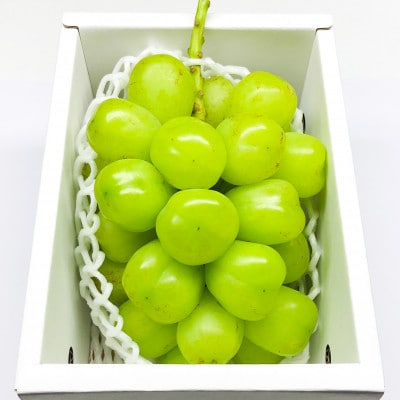 《2026年先行受付》ぶどう「シャインマスカット」　秀品　1房(700g以上)