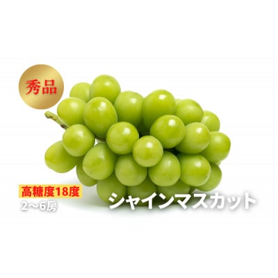 《2025年先行受付》ぶどう「シャインマスカット」　秀品　2～6房(2kg)