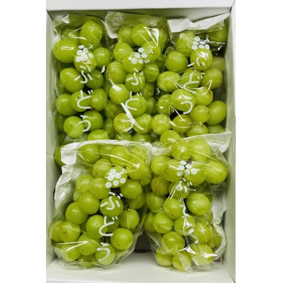 《2026年先行受付》ぶどう「シャインマスカット」　秀品　2～6房(2kg)