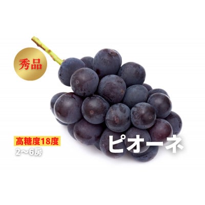 《2025年先行受付》ぶどう「ピオーネ」　秀品　2～6房(2kg)