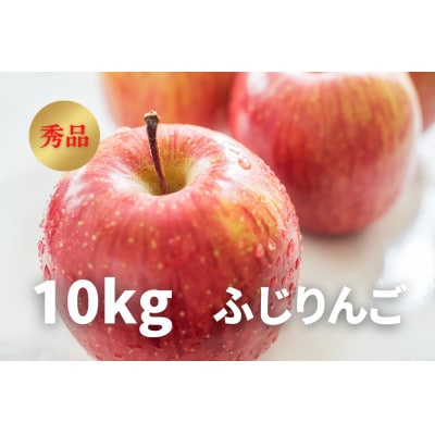 《2024年先行受付》りんご「ふじりんご」　秀品　20～36玉　10kg