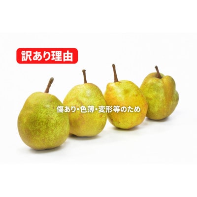 西洋梨「ラ・フランス」　訳あり　5kg