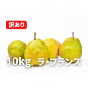 《2023年先行受付》西洋梨「ラ・フランス」 訳あり 10kg